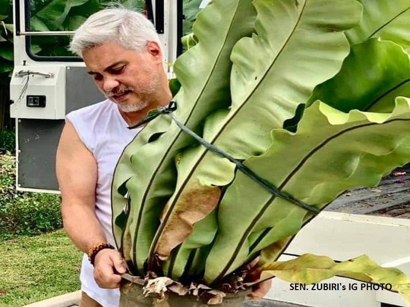 LOOK: Sen. Migz Zubiri certified plantito na; namili ng halaman sa CDO