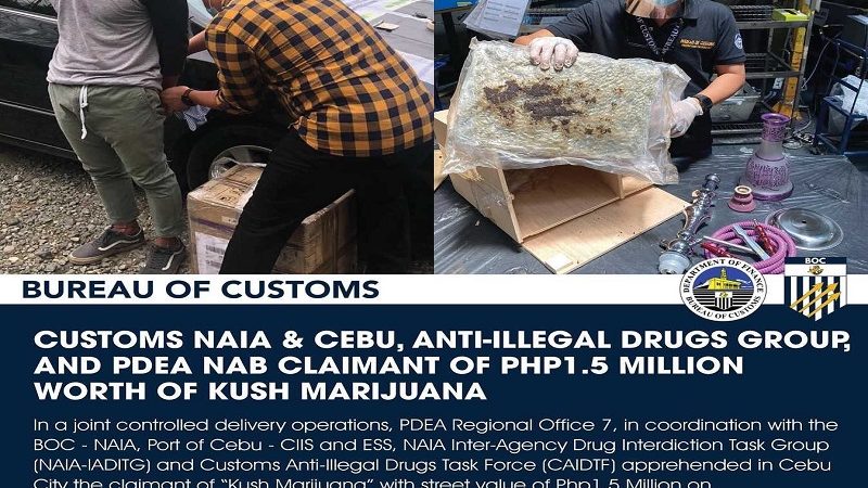 P1.5M na halaga ng high-grade marijuana nakumpiska ng BOC