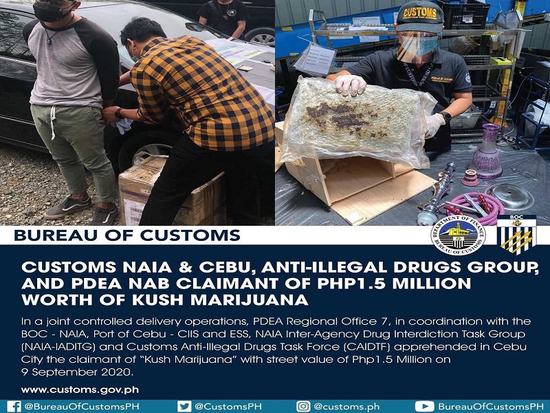 P1.5M na halaga ng high-grade marijuana nakumpiska ng BOC