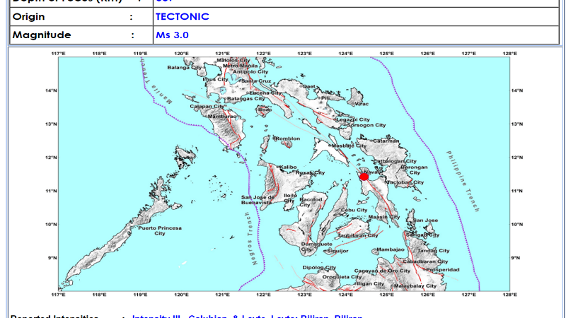 Leyte, Leyte niyanig ng magnitude 3.0 na lindol