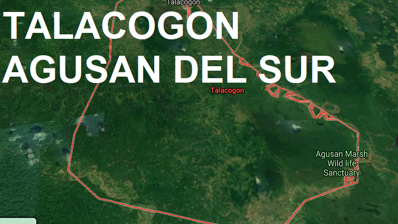 Dalawang hinihinalang miyembro ng NPA patay sa engkwentro sa Agusan Del Sur