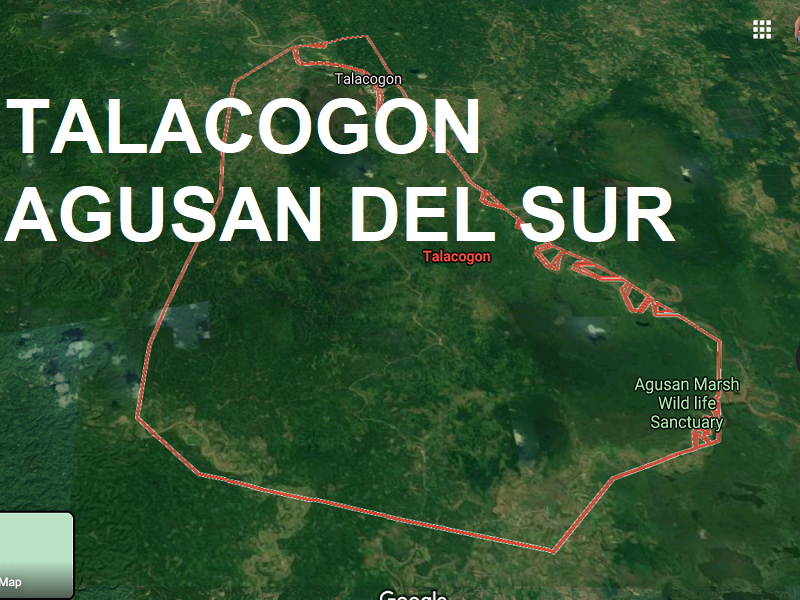 Dalawang hinihinalang miyembro ng NPA patay sa engkwentro sa Agusan Del Sur