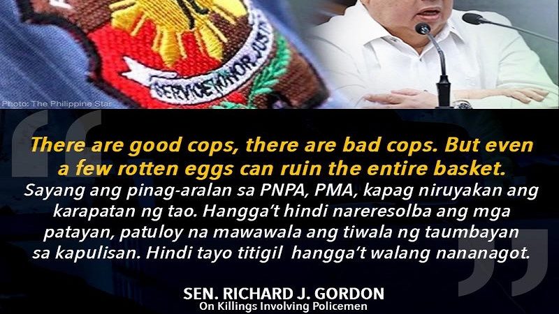 Pagbuo ng ‘Police Courts’ sa bawat probinsya ipinanukala ni Sen. Richard Gordon