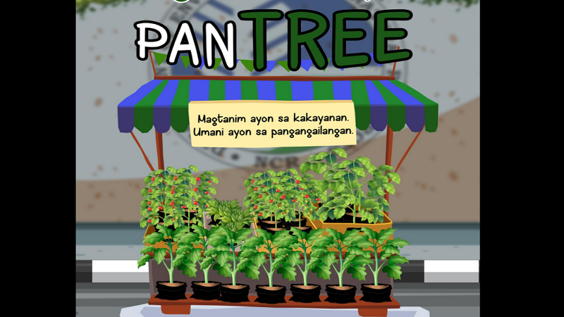 DENR magtatayo ng Community Pan-TREE