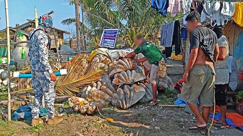 P57M na halaga ng giant clam shells nakumpiska sa Palawan