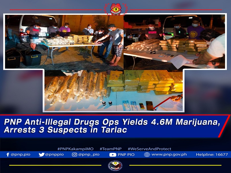 P4.6M na halaga ng marijuana nakumpiska sa 3 suspek sa Tarlac