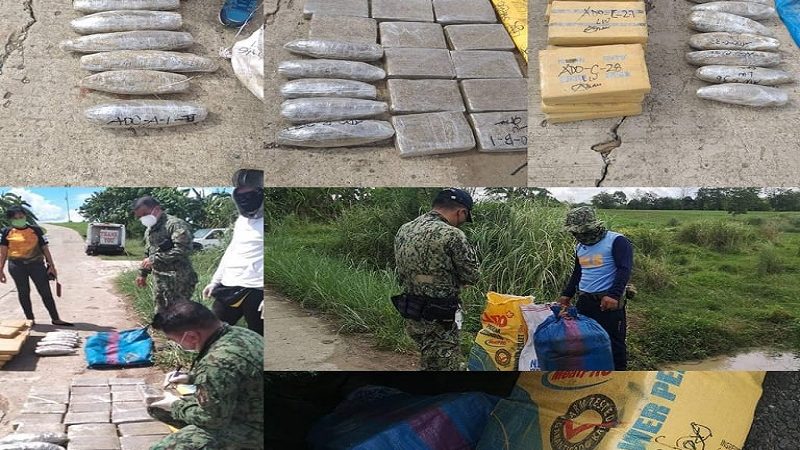 P7.8M na halaga ng marijuana nakumpiska sa Kalinga