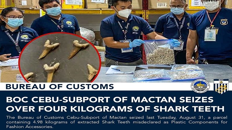 Apat na kilo ng ngipin ng pating nakumpiska ng Bureau of Customs