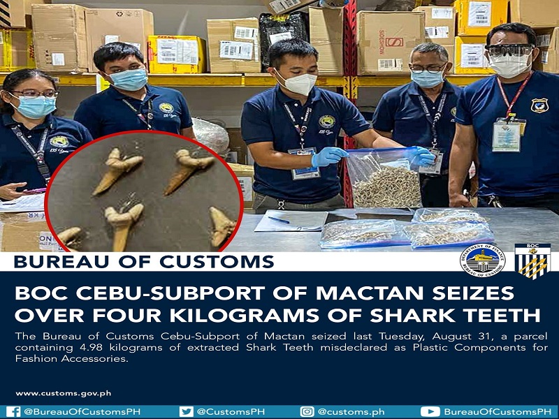 Apat na kilo ng ngipin ng pating nakumpiska ng Bureau of Customs