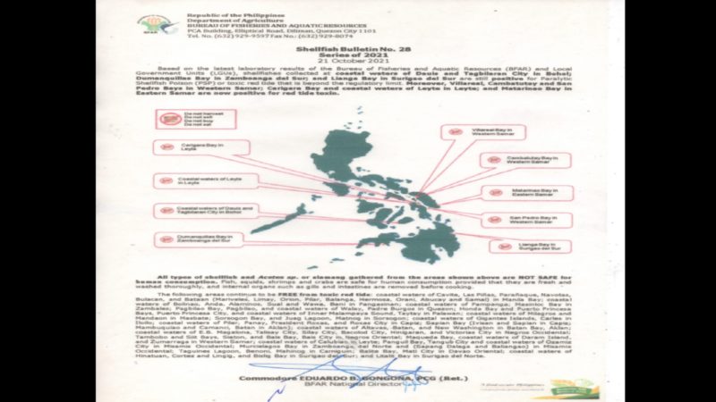 Baybaying dagat sa ilang bahagi ng Visayas at Mindanao positibo sa red tide toxins