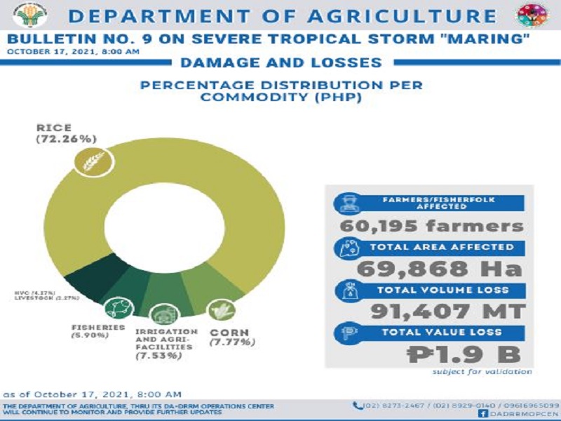 Halaga ng pinsala sa agrikultura ng Severe Tropical Storm Maring umabot na sa halos P1.9B – DA