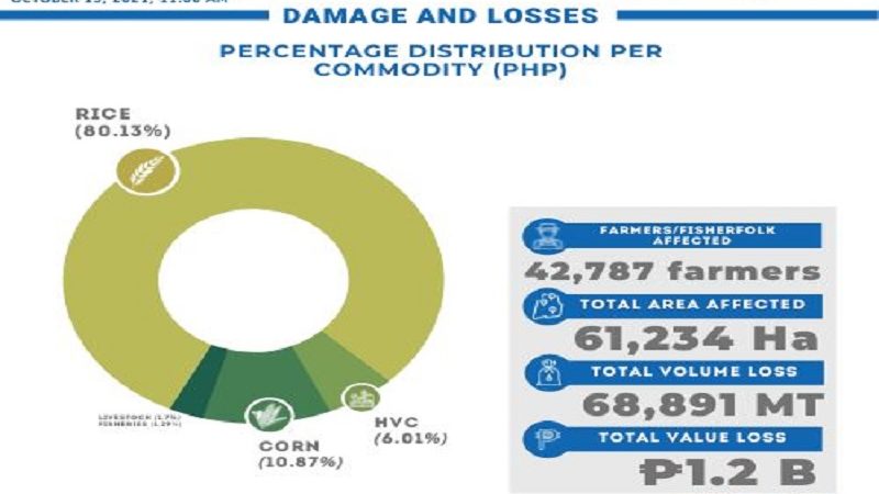 Halaga ng pinsala sa agrikultura ng Severe Tropical Storm Maring umabot na sa mahigit P1.2B – DA