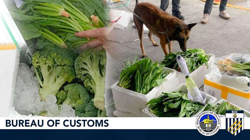 P15M na halaga ng mga imported na gulay galing China nakumpiska ng Customs