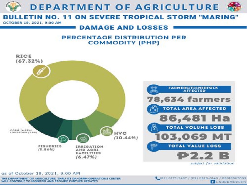 Halaga ng pinsala sa agrikultura ng Severe Tropical Storm Maring umabot na sa halos P2.2B – DA