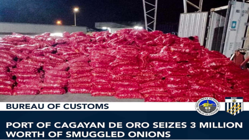 P3M halaga ng smuggled na sibuyas nakumpiska ng Customs sa Cagayan