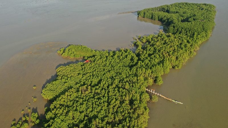 Coastal Wetland sa Sasmuan, Pampanga idineklarang critical habitat at ecotourism area ng DENR