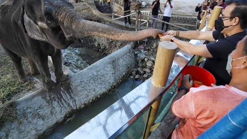 Manila Zoo target gawing vaccination site para sa mga bata