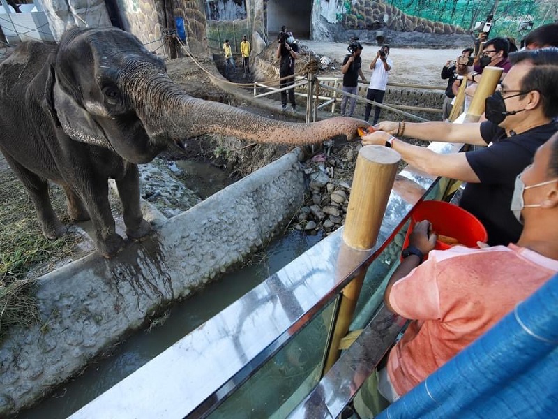 Manila Zoo target gawing vaccination site para sa mga bata