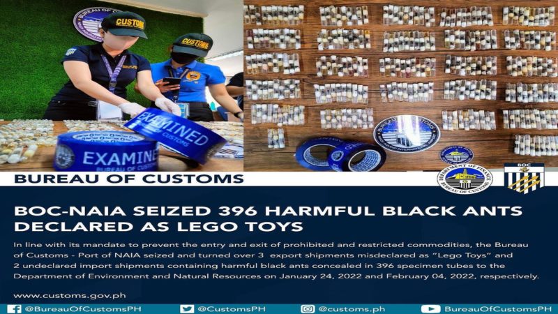 Black Ants na idineklarang Lego Toys nakumpiska ng Customs