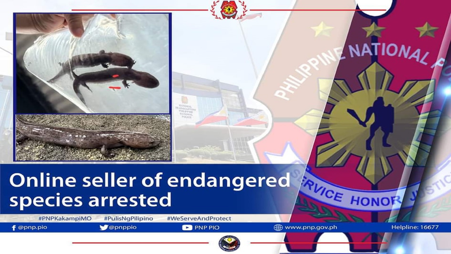 Lalaking nagbebenta ng endangered species online, arestado ng PNP