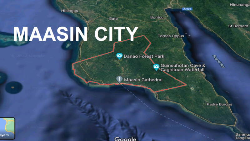 Kaso ng ASF naitala sa Maasin City; 51 alagang baboy ang kinatay