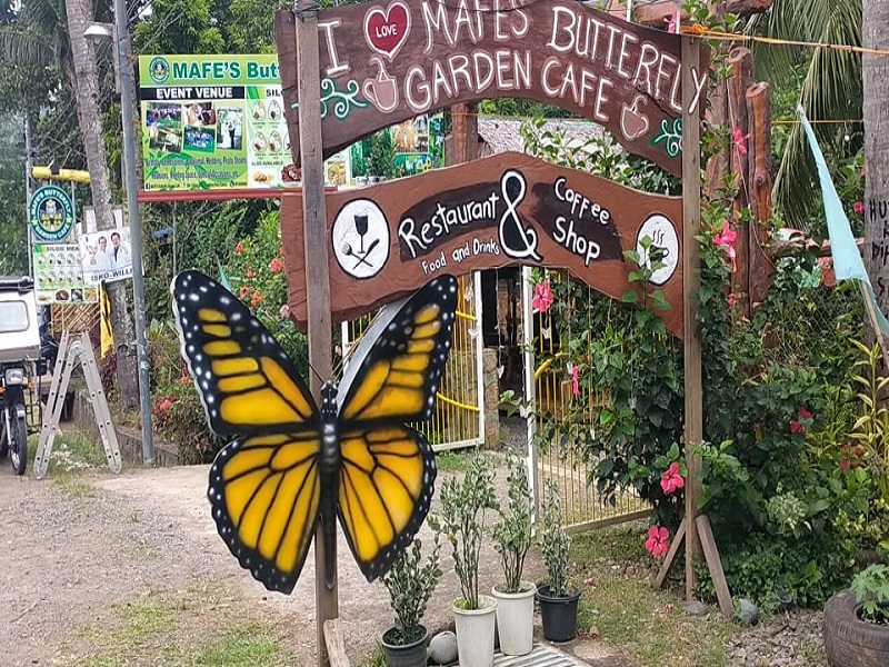 WATCH: Mafe’s Butterfly Garden sa Real, Quezon dinarayo ng mga turista