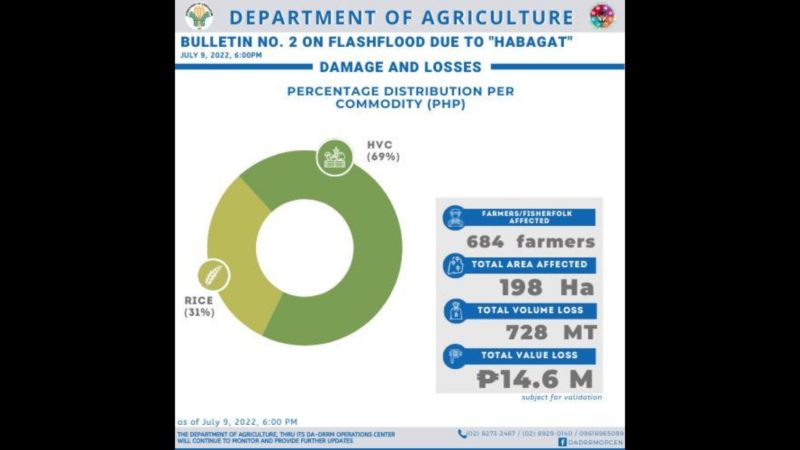 Habagat nag-iwan ng P14.6M na halaga ng pinsala sa mga pananim sa Ifugao