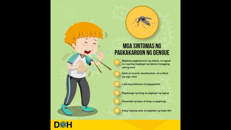Naitalang kaso ng dengue sa bansa mula noong Enero umabot na sa mahigit 118,000