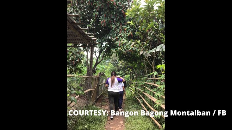 11 kaso ng dengue naitala sa Montalban sa nakalipas na mahigit isang buwan