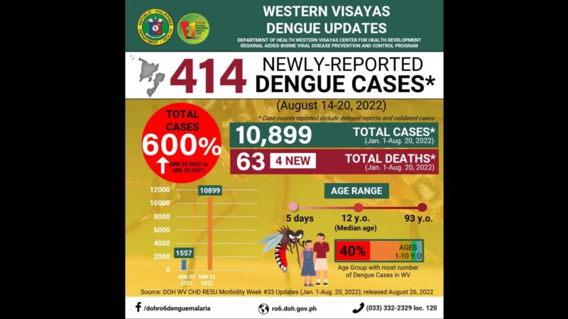 Naitalang kaso ng dengue sa Western Visayas tumaas ng 600 percent