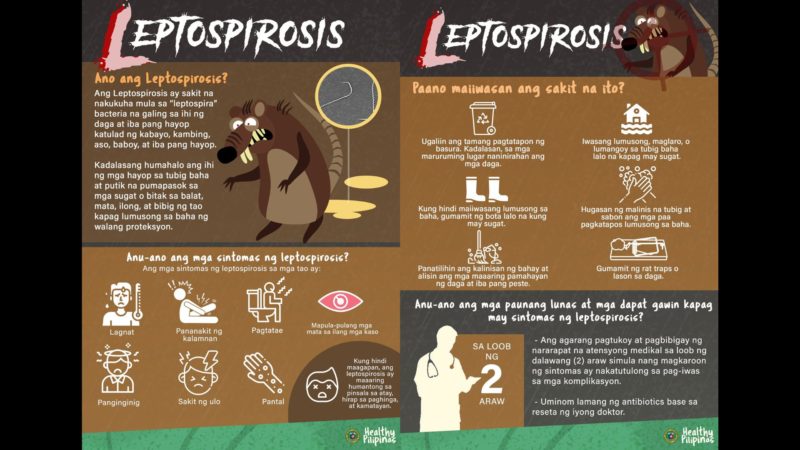 Kaso ng leptospirosis at dengue, tumaas noong nakaraang buwan