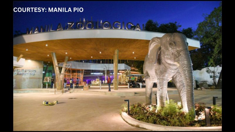 PANOORIN: Manila Zoo bukas na muli sa publiko simula ngayong araw