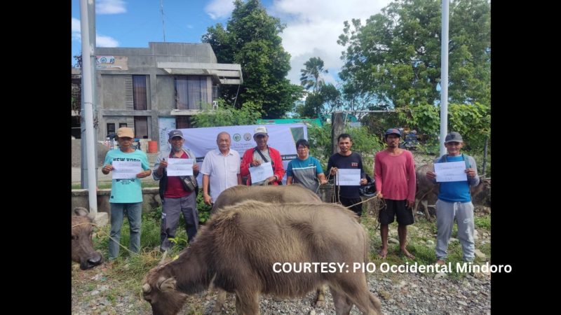 Mga residenteng nasalanta ng bagyo sa Occidental Mindoro binigyan ng alagaing kalabaw