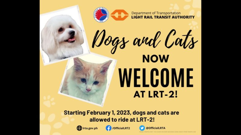 Panuntunan sa pagsakay ng mga alagang hayop inilabas ng LRT-2; end coach ng tren ipagagamit sa furparents