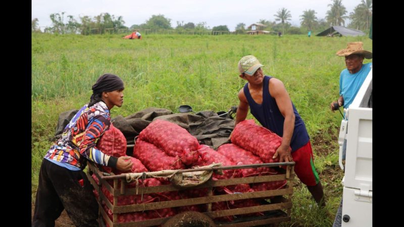 Onion farmer sa Bukidnon tinulungan ng DA na maibenta ang kaniyang produkto sa mall
