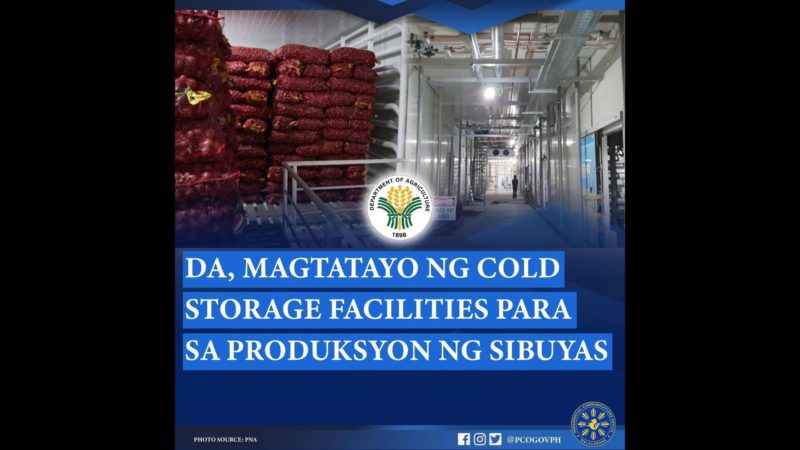 Anim na cold storage facilities para sa sibuyas itatayo ng DA