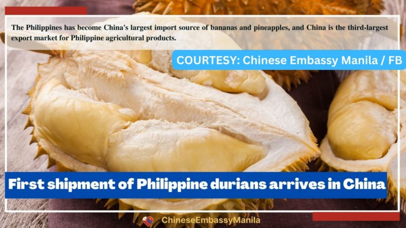 Unang shipment ng durian galing Pilipinas dumating na sa China