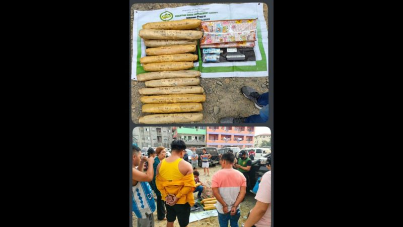 2 arestado, P1.8M na halaga ng marijuana nakumpiska sa La Trinidad, Benguet