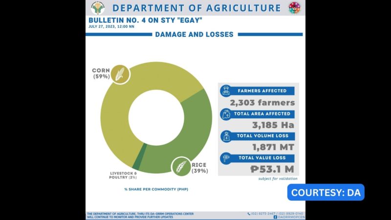 Halaga ng pinsala ng bagyong Egay sa pananim umabot na sa P53.1M