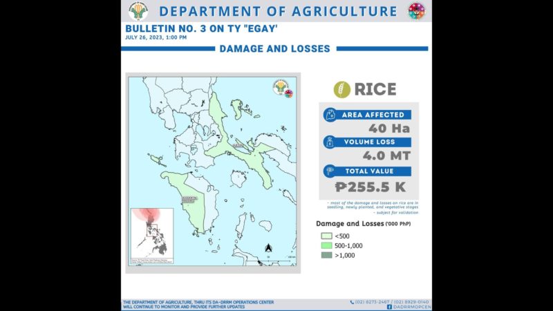 Halaga ng pinsala ng bagyong Egay sa pananim umabot na sa P255K