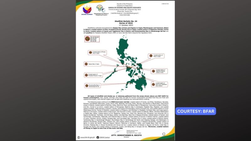 Red tide alert itinaas ng BFAR sa baybayin sa Samar at Cebu