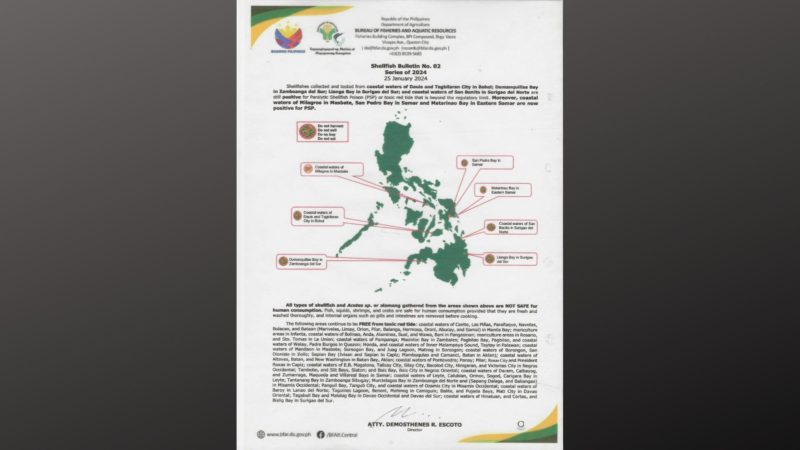 Ilang baybaying dagat sa Visayas at Mindanao positibo sa Red Tide