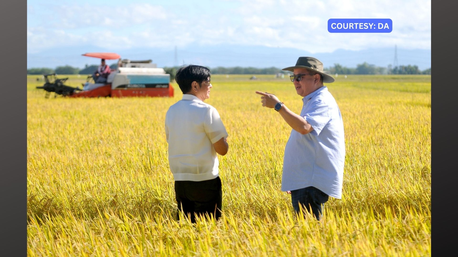 Halaga ng pinsala ng El Niño sa panamin umabot na sa P150M