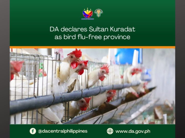 Sultan Kudarat, bird flu-free na ayon sa DA
