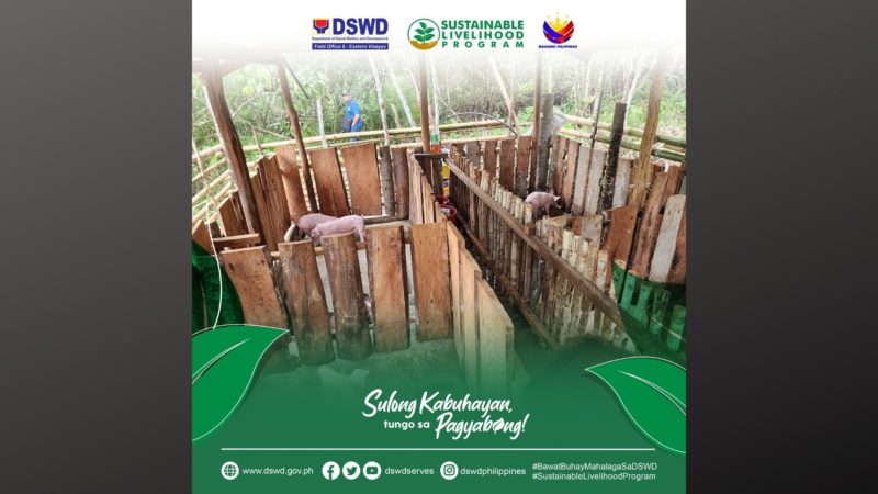 Piggery Farm Association inilunsad ng DSWD sa Eastern Samar