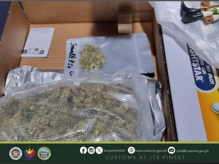 P230K na halaga ng high-grade marijuana nakumpiska sa isang parcel sa Clark