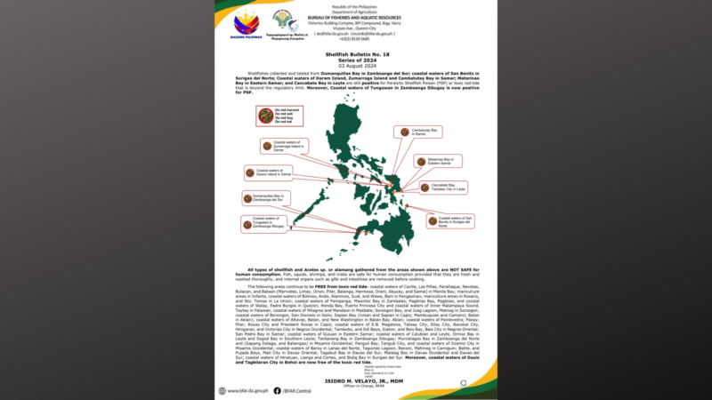 Baybaying dagat sa ilang bayan sa Samar, Eastern Samar at Leyte positibo pa rin sa red tide toxins