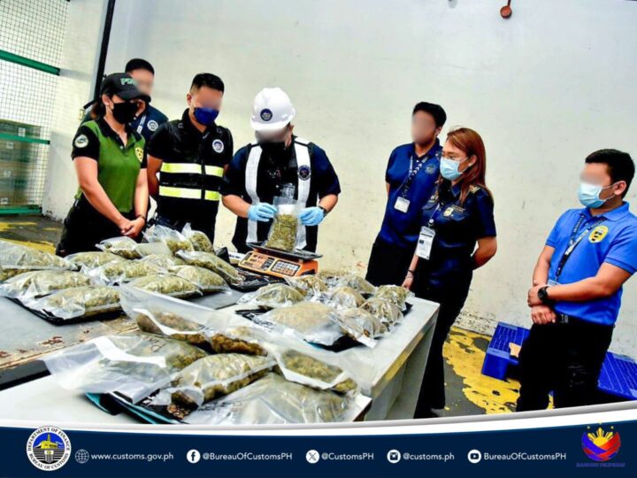 P10M na halaga ng high-grade marijuana, nakumpiska sa parcel sa NAIA