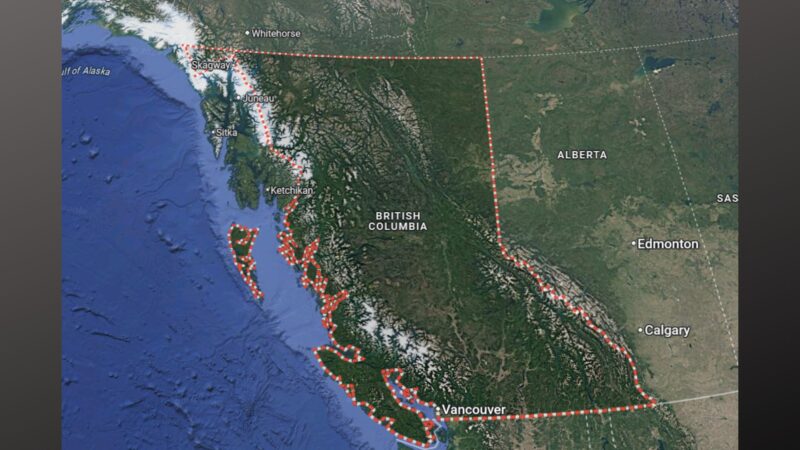 Unang kaso ng bird flu sa tao, naitala sa Canada