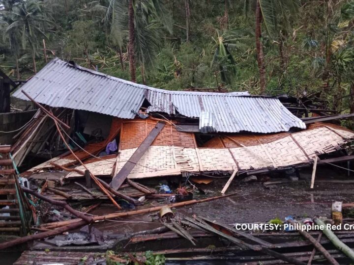 7 nasawi, 30 sugatan sa pagtama ng magkakasunod na bagyong Nika, Ofel, at Pepito – NDRRMC